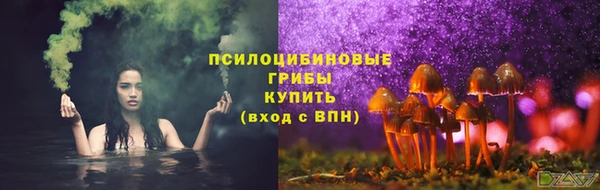 mdpv Пересвет