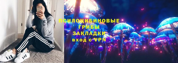 крисы Пестово